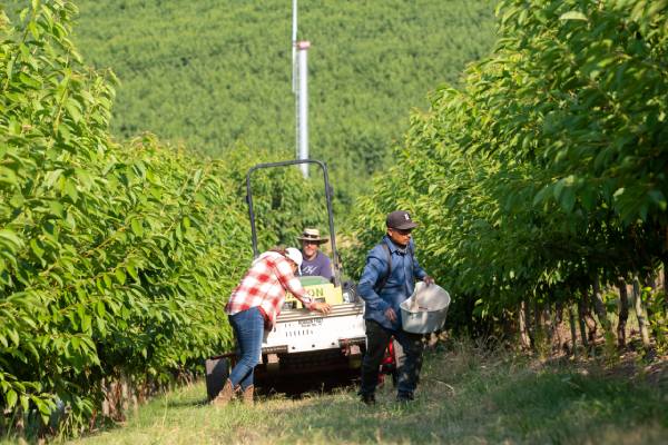 Superfresh EFI certification