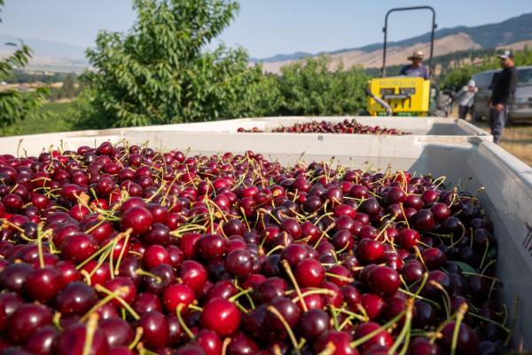 Superfresh EFI certification