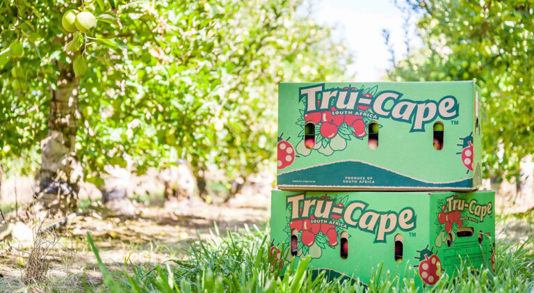 apple and pear industry