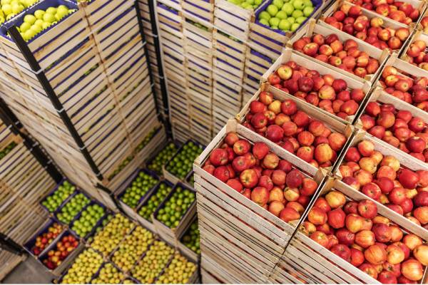 Pears and apples, probably argentinian