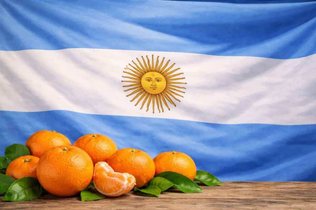 Argentina accelerates efforts to access US sweet citrus market