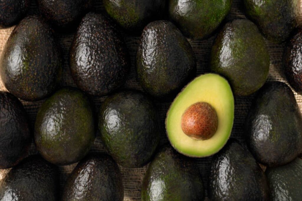ProHass projects record 773,000 metric tons for Peruvian avocado exports