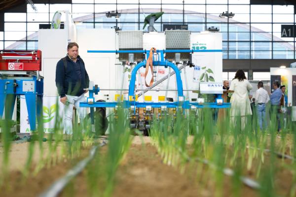 Dynamoc area macfrut