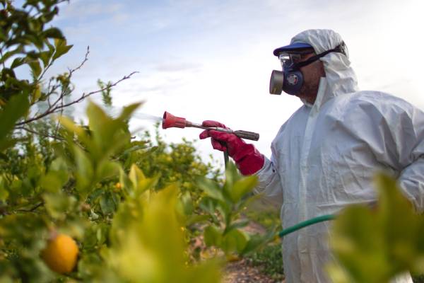 Person applying pesticides