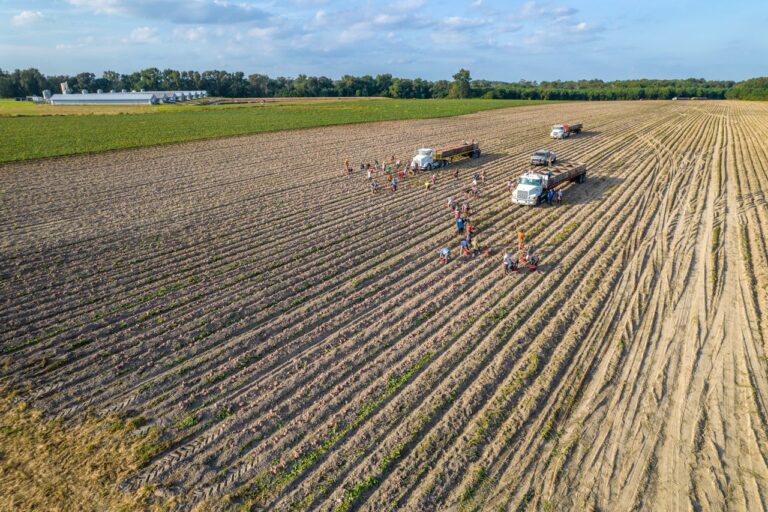 Farmer sentiment ticks up, but outlook sours for year ahead