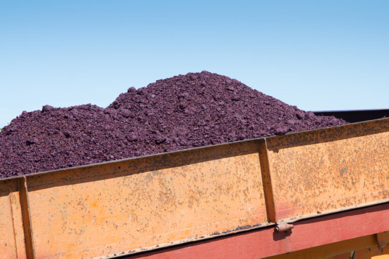 From waste to worth: Grape pomace market to top $2.1B by 2033