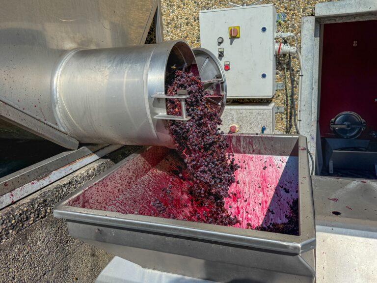 From waste to worth: Grape pomace market to top $2.1B by 2033