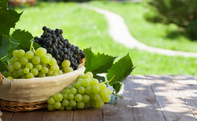 table grape