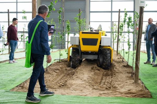 Macfrut dynamic area