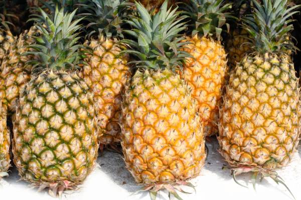 Taiwanese pineapples