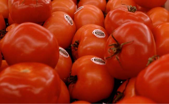 Florida scientists engineer orange tomatoes packed with vitamin A
