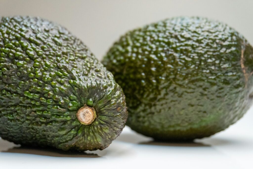The US partially resumes avocado export operations in Michoacán