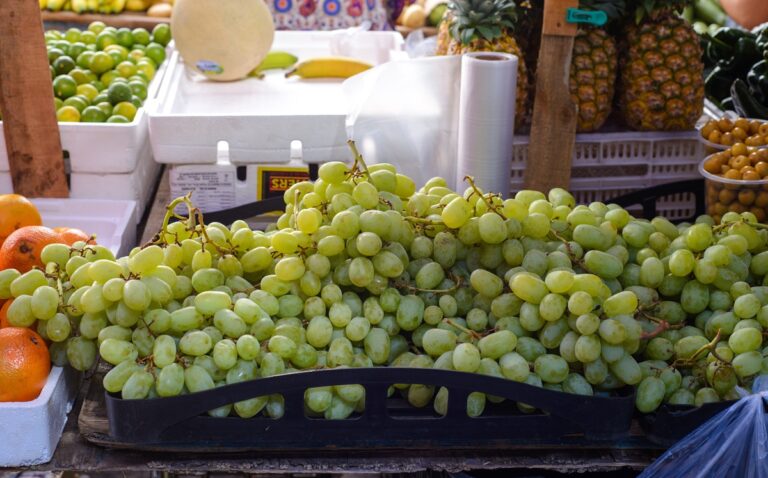 Mexican green grape 