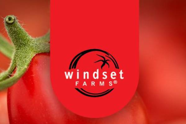 windset farms logo
