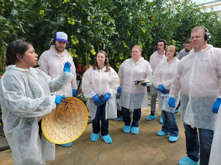 STEP-UPP Retail Class