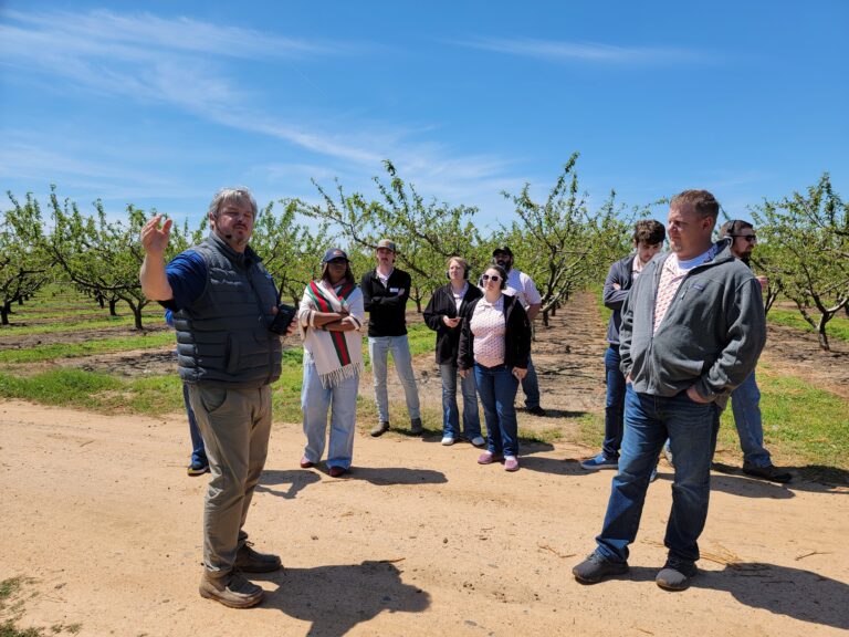 STEP-UPP Retail Class