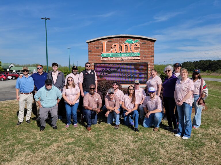 STEP-UPP Retail Class