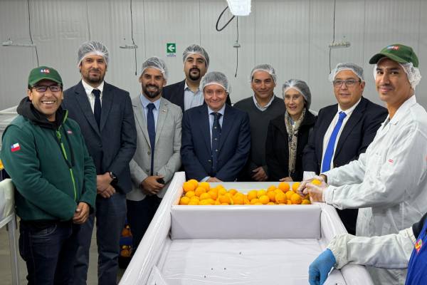 Citrus export season to the US