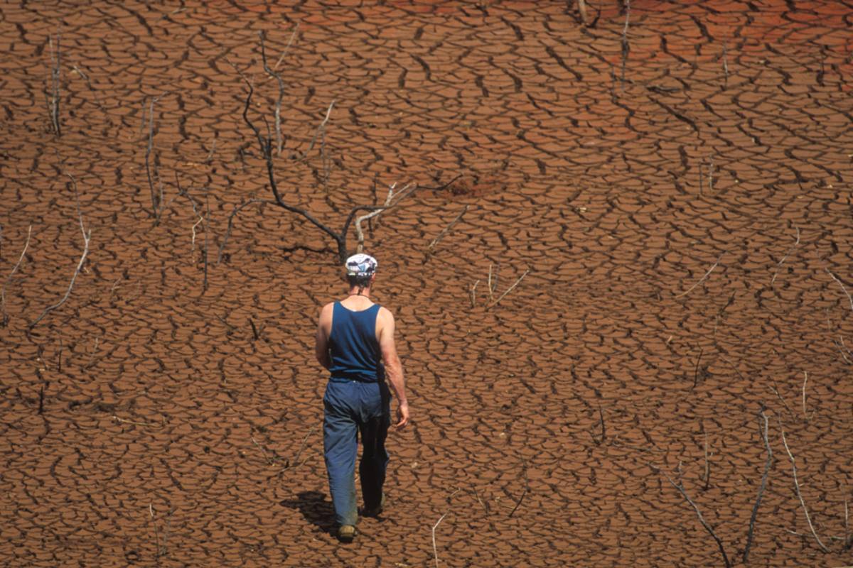 Extreme heat is already changing agriculture. This is how farmers stay ahead of it.