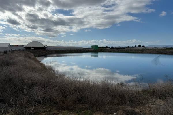 Unifrutti's Fondaco Nuovo farm