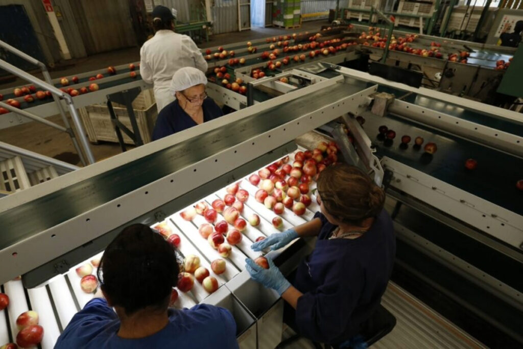 China and Chile set up a fully digital phytosanitary certification system for exports