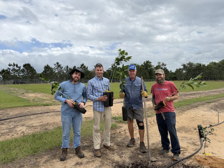 Florida citrus researchers soilcea
