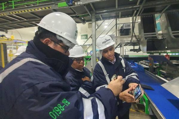 Hass avocado to Japan