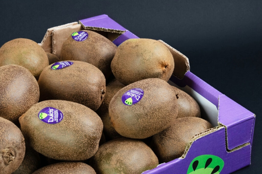 Premium green kiwifruit Dulcis closes its 2025/26 season exceeding industry expectations