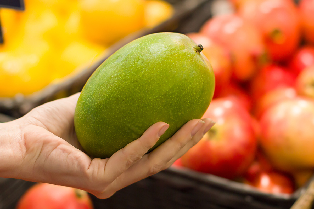 Mexican mango exports to the US projected to surpass 350,000 tons in 2026