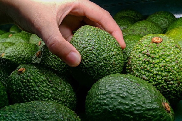 Peruvian hass avocados