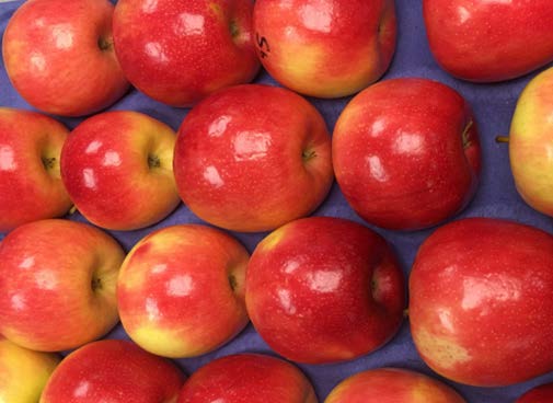 waxed sunflare apples