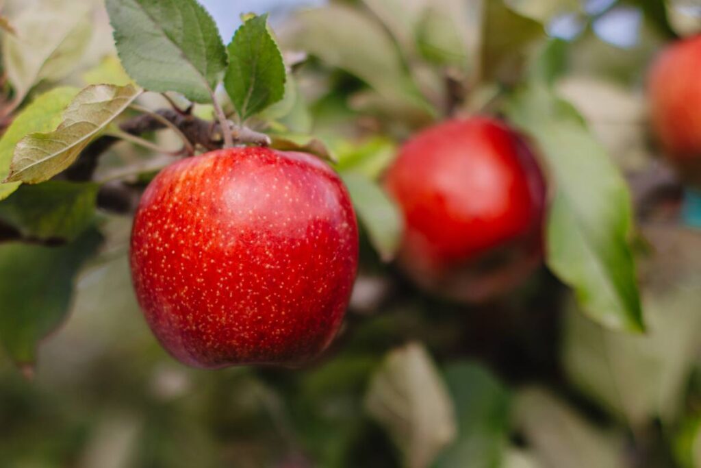 T&G Global is in advanced discussions to divest two key parts of its businesses