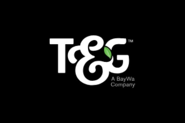 T&G Global logo