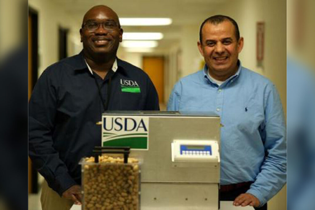 Microwave sensors revolutionize peanut grading with real-time quality checks