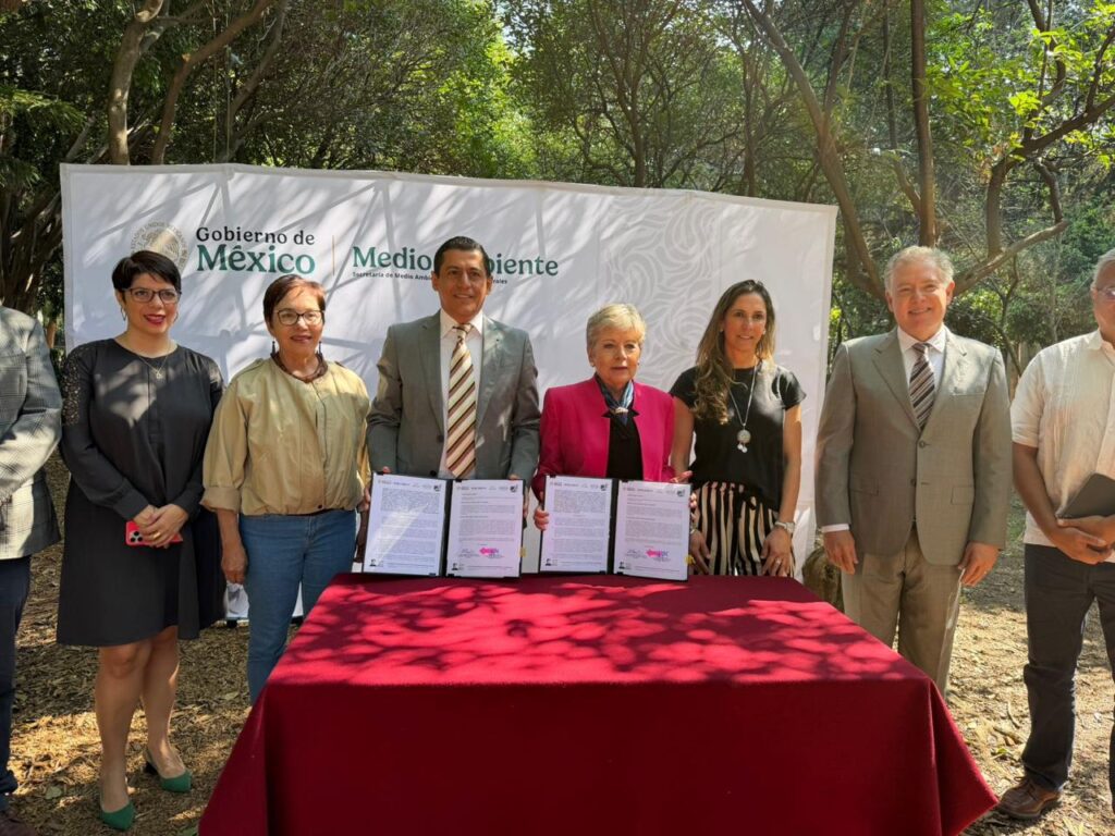 Key Mexican avocado association signs zero-deforestation deal