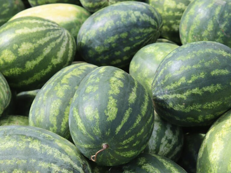 Whole or cut watemelons
