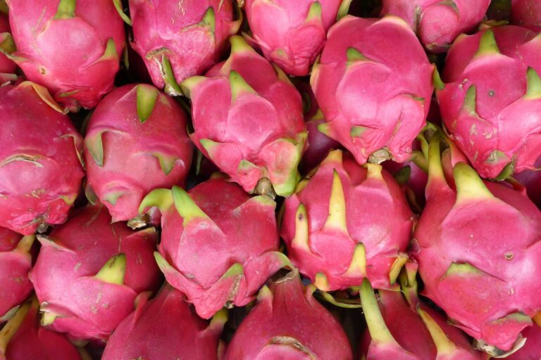 Frieda’s dragon fruit
