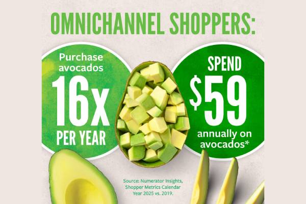 Avocado trends graph