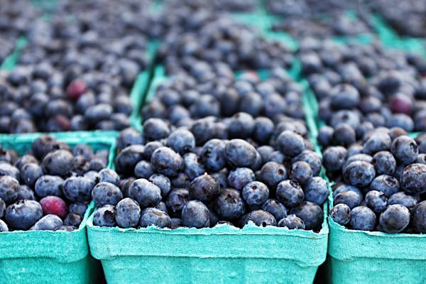 Blueberries