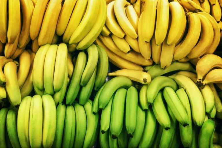 Ecuadorian banana