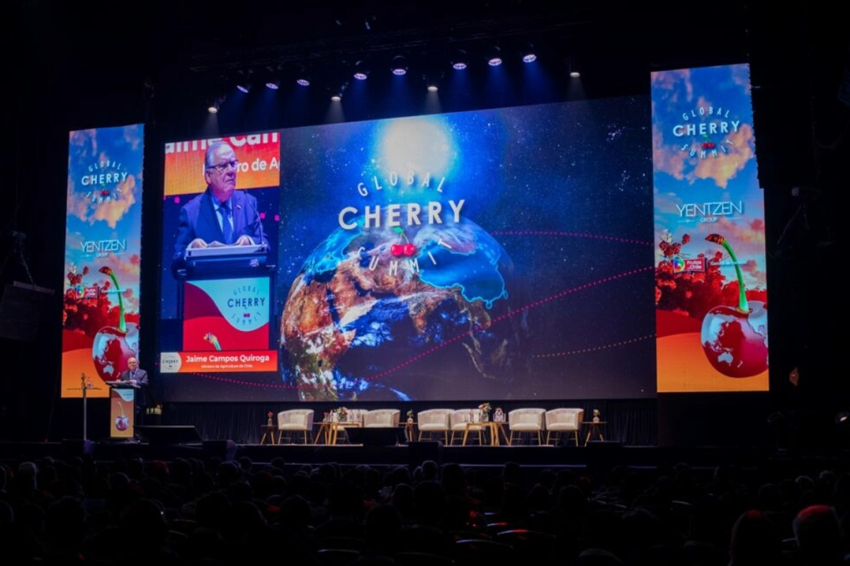 Chile’s cherry industry pivots its strategy as Chinese consumer expectations tighten