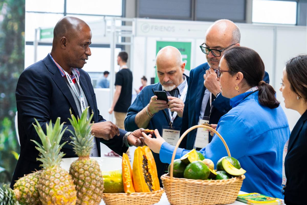 Macfrut 2026: A global meeting point for the fruit and vegetable sector