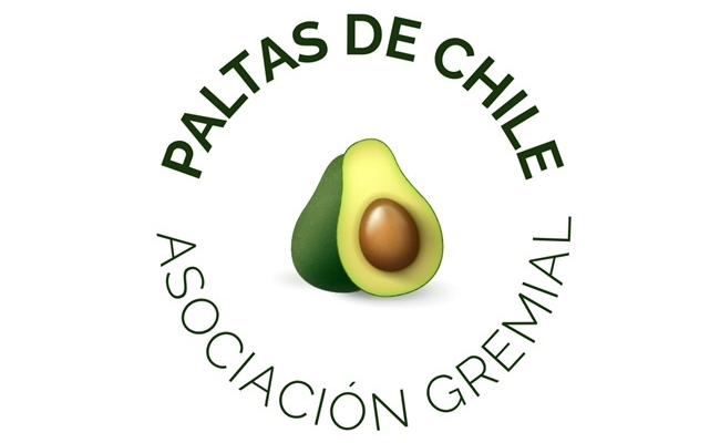 paltas de chile