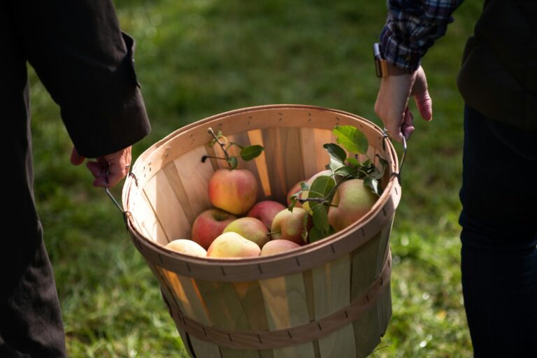 apple basket