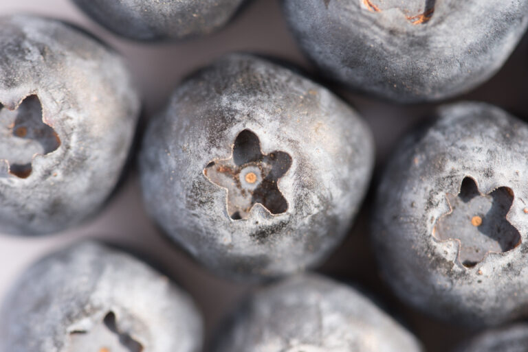 New Zealand blueberry