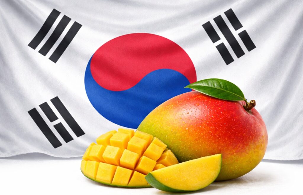 South Korea goes tropical: Global mango imports and e-commerce drive demand