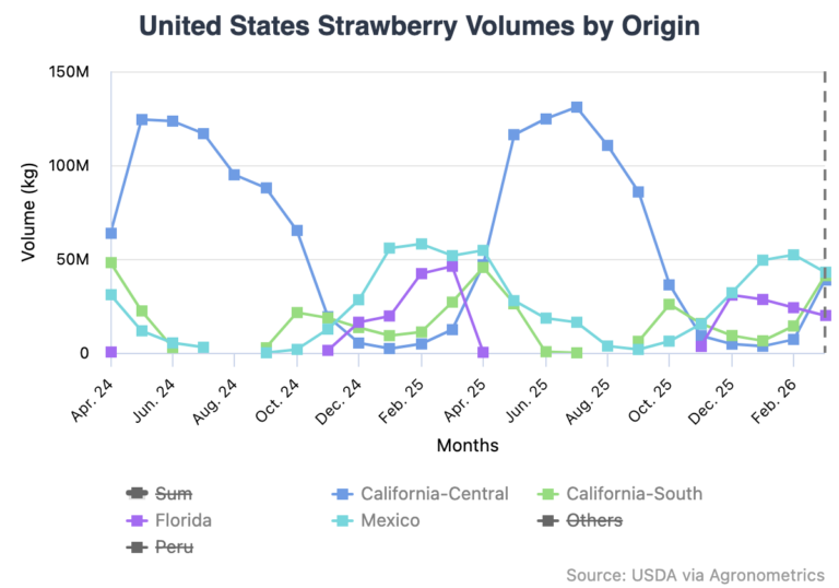 strawberry volumes