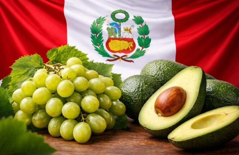 Grapes and avocado with Peru flag backdrop