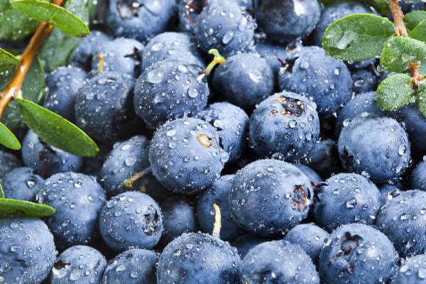 Chilean blueberries