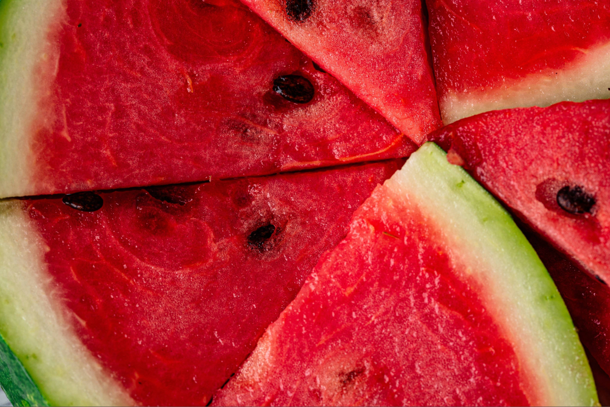Fusarium wilt resurfaces in North Florida watermelon fields